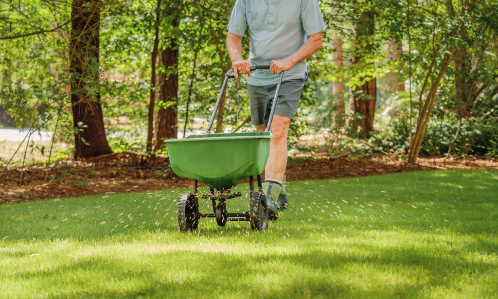 Lawn, lawn care, preparing your lawn, summer lawn care, grass, yard maintenance, summer lawn