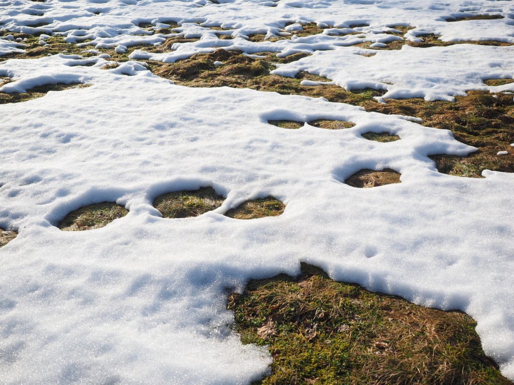 Picture of snow melting.